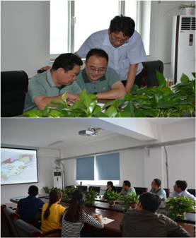 集团领导到和茂公司检查指导工作