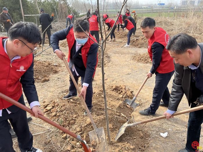 能源文化｜耕种幼苗护生态能源使命“植”得关注